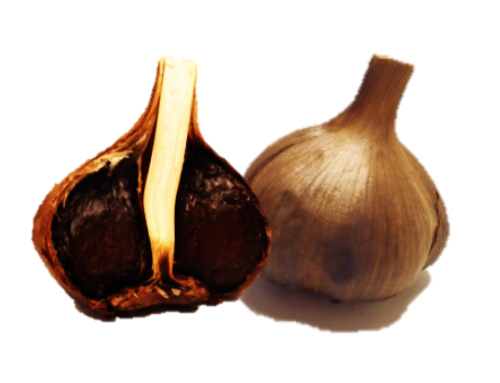 黒にんにく断面