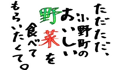 ただ美味しい野菜を