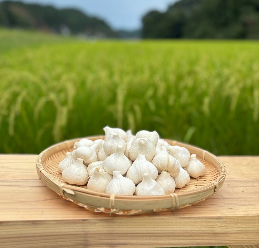 にんにく１kg入り1袋