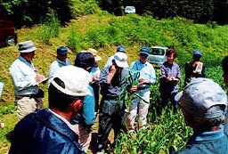 ペルサルーテでの農作業の様子